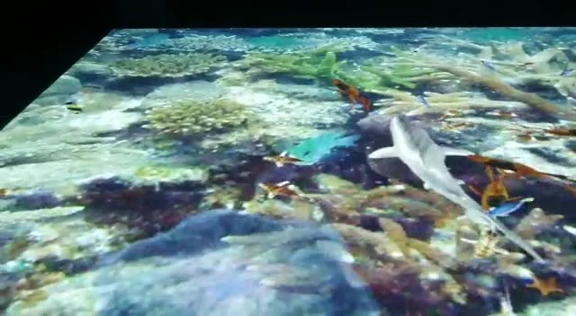 Cena do Museu da Água de Indaiatuba — vídeo 2